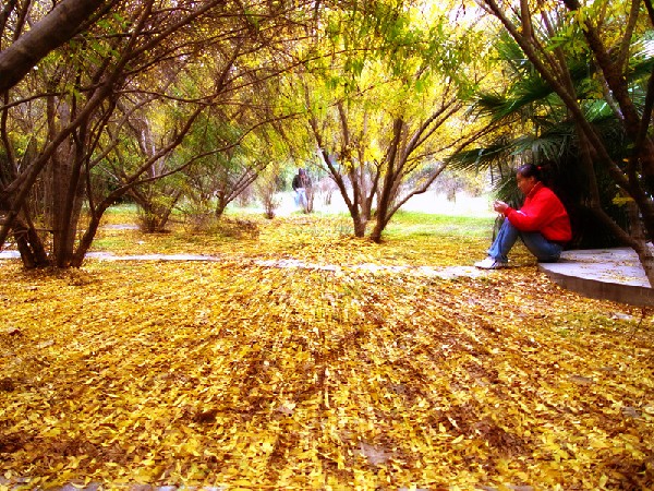 晋安路校区校内一角